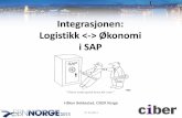 Integrasjonen: Logistikk  Økonomi i SAP speaker... · Kontofastsetting (OBYC) Her angir du systeminnstillingene for lagerstyring og fakturakontroll for automatiske posteringer