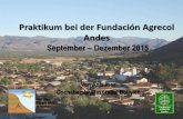 Praktikum bei der Fundación Agrecol Andes · Arbeitsbereiche von Agrecol Eines der Themenfelder: Incidencia política („politisches Wirken“) •Strategien und Empfehlungen für