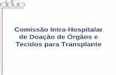 Comissão Intra-Hospitalar de Doação de Órgãos e …...Lei 9434/97 • A retirada de órgãos ou tecidos deverá ser precedida de diagnóstico de morte encefálica • Dois médicos