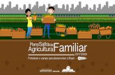 Agricultura Familiar no Brasil - mda.gov.br 31... · • Produção arroz, feijão, mandioca, leite, alho, tomate, cebola, batata, abacaxi, banana, açaí, laranja, olerícolas (produtos