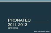 PRONATEC 2011-2013 Ministério da Educação · COSTUREIRO 32.954 MONT. E REP. DE COMPUTADORES 30.925 ALMOXARIFE 30.829 MANICURE E PEDICURE 29.069 VENDEDOR 26.548 PEDREIRO DE ALVENARIA