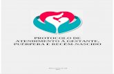 PROTOCOLO DE ATENDIMENTO À GESTANTE, PUÉRPERA … · 6 APRESENTAÇÃO O Protocolo de Atendimento à Gestante, Puérpera e Recém-nascido tem a finalidade de sistematizar a assistência
