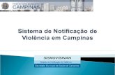 Ficha de Notificação de Violênciasisnov.campinas.sp.gov.br/encontro/apres_ficha... · PPT file · Web view2016-11-23 · RUA HERMÍNIA BONILHO, 115 (19)3864-2612. ... Maria Eduarda
