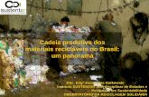 Cadeia produtiva dos materiais recicláveis no Brasil: um ...sustentar.org.br/site/lib/_textEditor/uploads/files/projeto_Cadeia... · •Mercado de recicláveis é atrelado a commodities
