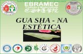 GUA SHA - NA ESTÉTICA - ebramec.edu.br · ferramenta terapêutica chinesa usada para tratar diversos problemas de pele, ... • Iniciar a massagem na 5 a. vértebra ... • Manual