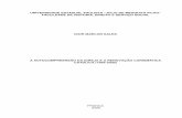 UNIVERSIDADE ESTADUAL PAULISTA “JÚLIO DE MESQUITA … · A AUTOCOMPREENSÃO DA IGREJA E A RENOVAÇÃO CARISMÁTICA CATÓLICA (1966-2000) Dissertação apresentada para obtenção