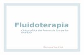 Fluidoterapia - bichosonline.vet.brbichosonline.vet.br/wp-content/uploads/2016/03/FLUIDOTERAPIA-Modo... · perdas imperceptíveis ocorrem pelo trato respiratório durante a respiração,ouperdaspelosuor.