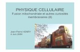 PHYSIQUE CELLULAIRE - msc.univ-paris-diderot.frhenry/Fusion_8.pdf · Fusion et déformations membranaires •L’étude des fusions cellule-cellule suggère que les déformations