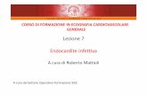 Lezione7 Endocardite infettiva - siec.zenix.itsiec.zenix.it/Dispense/Corso_Ecografia_Generale_old/Lezioni_gen_pdf... · Alterazioni mixomatose Verruche di Lambl (l’aspetto eco non
