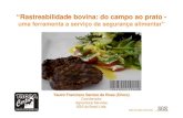 “Rastreabilidade bovina: do campo ao prato - UFSMjararaca.ufsm.br/websites/departamen/download/cqia_09_2/rastrea_01.pdf · A Rastreabilidade foi o meio encontrado para podermos