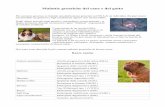 Malattie genetiche del cane e del gatto - CVAltolambrocvaltolambro.net/wp-content/uploads/2016/04/malattie-genetiche2.pdf · Pastore tedesco Nanismo ipofisario (NAH) Resistenza ai