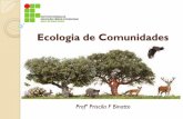 Ecologia de Comunidades · COMPETIÇÃO INTERESPECÍFICA INTRAESPECÍFICA. ... Exemplo. Variações na sucessão ecológica. Produtividade durante a sucessão. Comparando medidas