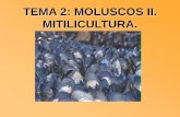 TEMA 2: MOLUSCOS II. MITILICULTURA. - Inicio - USC · MITILICULTURA Numerosas especies de mejillón (género Mytilus) explotadas en muchas regiones del mundo. Producción mundial: