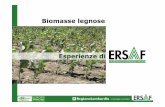 Biomasse legnose - Veneto Agricoltura · importanza ambientale, idrogeologica, economica, sociale e delle tradizioni Introduzione ... Utilizzo di fonti e impianti energetici a basso