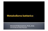 6 LEZIONE MEDICINA - metabolismo batterico lezione - metabolismo... · Fosforilazione ossidativa (chemiosmosi) ... (Ciclo di Krebs) Respirazione aerobia/anaerobia: glicolisi + Krebs