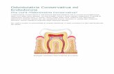 Odontoiatria Conservativa ed Endodonzia · L'odontoiatria conservativa è una branca dell'Odontoiatria che si occupa principalmente della cura della carie dentale. La sua finalità,