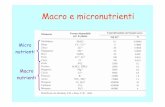 Micro nutrienti Macro nutrienti - unirc.it · organici I micronutrienti non sono di solito inseriti nei piani di concimazione e Si ricorre spesso alla concimazione con tali elementi