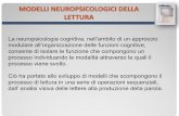 MODELLI NEUROPSICOLOGICI DELLA LETTURA · MODELLI NEUROPSICOLOGICI DELLA LETTURA La neuropsicologia cognitiva, nell’ambito di un approccio modulare all’organizzazione delle funzioni