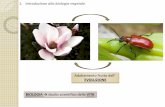 Adattamento frutto dell’ EVOLUZIONE BIOLOGIA studio ... · ramo della biologia che si occupa della classificazione delle specie viventi. 1. Introduzione alla biologia vegetale ...