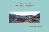 I Mammiferi del Parco Nazionale del Vesuvio - vesuvioweb.comvesuvioweb.com/it/wp-content/uploads/Manuela-DAgostino-Il-Parco... · dell'Africa settentrionale e dell'America del Nord.