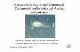 Il possibile ruolo dei Copepodi Ciclopoidi nella lotta ad ... · Phylum Arthropoda Subphylum Crustacea Classe Maxillopoda Sottoclasse Copepoda Ordine Cyclopoida Famiglia Cyclopidae