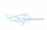 LE BIOMOLECOLE - gscatullo.altervista.orggscatullo.altervista.org/wp-content/uploads/2015/10/Le-Biomolecole.pdf · idrogeno in presenza di un catalizzatore metallico ai doppi legami