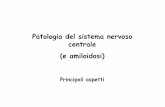 Patologia del sistema nervoso centrale (e amiloidosi) · Cellule del sistema nervoso centrale Neuroni ... Patologie acquisite caratterizzate da danno della mielina con relativo risparmio