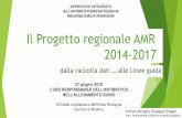 Il Progetto regionale AMR - alimenti-salute.it · • Università Parma: facoltà di Medicina Veterinaria • Istituto Zooprofilattico Sperimentale LER •Sevizio Veterinario AUSL