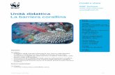 Unità didattica La barriera corallina - stageassets.wwf.chstageassets.wwf.ch/downloads/conoscere_gli_abitanti_della_barriera... · guenti) e attraverso una ricerca sugli abitanti