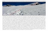 Aiguille de la Grande Sassière m. 3751 (Alpi Graie ... · Aiguille de la Grande Sassière m. 3751 (Alpi Graie Centrali - Val d’Isère) Glacier de la Sassière, Petite Sassière