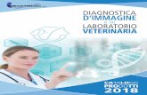 DIAGNOSTICA D’IMMAGINE - isomedic.comisomedic.com/catalogo.pdf · • Creazione Report e Refertazione • Suite RIA Dicom Viewer per effettuare misurazioni e comparazioni multi-immmagine.