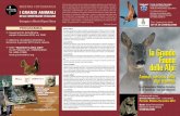 MOSTRA FOTOGRAFICA I GRANDI ANIMALI - caicsvfg.it · operato in vari progetti di conservazione riguardanti mammiferi e uccelli, con particolare riguardo ... Animali selvatici delle