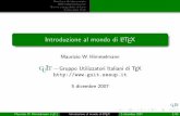 Introduzione al mondo di LaTeX - guit.sssup.it · Stefano Benni, Dottor Niu` Maurizio W.Himmelmann (guIt) Introduzione al mondo di LATEX 5 dicembre 2007 2/85. guIt Struttura del documento