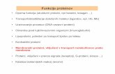 6-membranski proteini in transport.pptibk.mf.uni-lj.si/teaching/biokemija1/predavanja/predavanje30R2011.pdf · P.F. Devaux et al. / Biochimica et Biophysica Acta 1778 (2008) 1591–1600