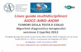 Linee guida multidisciplinari AIOCC-AIRO-AIOM · •Sandro Tonoli (Ist Radio -Brescia) ... N2 metastasi linfondali bilaterali nei linfonodi cervicali, di dimensioni non >6 cm e al
