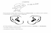 L’UDITO - LIMparolimparo.it/files/l-udito.pdf · l’udito per ascoltare noi usiamo le orecchie.le orecchie sono l’organo di senso dell’udito. attraverso l’udito noi avvertiamo
