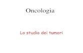 Lo studio dei tumori - omero.farm.unipi.itomero.farm.unipi.it/matdidFarm/74/oncol1.pdf · Colon vescica prostata Sarcomi comuni: tessuto adiposo osso muscolo linfomi linfonodi ...