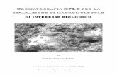 SEPARAZIONE DI MACRO MOLECOLE - sebastianolava.chsebastianolava.ch/LAM chimica 2006.pdf · 4.3 I tipi di cromatografia 14 4.3.1 Cromatografia per adsorbimento 14 4.3.2 Cromatografia