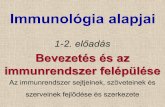 Immunológia alapjai - immbio.aok.pte.huimmbio.aok.pte.hu/IBI2013/Oktatás_files/basic_immunology_2014_1_2... · Immunológia: Tantárgy, intézet, tudomány •Tantárgy: A teljes