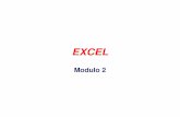 Modulo 2 - webuser.unicas.itwebuser.unicas.it/fontanella/dida/LabInfo0708/Appunti/EXCEL/... · Excel dispone di centinaia di funzioni: – Statistiche – Trigonometriche – Logiche