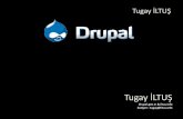 Neden & Drupal & Nedir? - seminer.linux.org.tr · Neden Drupal ? En iyi içerik yönetim sistemdir Drupal ܛ yıldır birincilik ödülü almıştır. Drupal, Dünya’nın en iyi