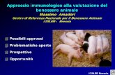Approccio immunologico alla valutazione del benessere animale Benessere animale/Attivita... · E’ una risposta adattativa ben organizzata alle infezioni Le citochine (IL1β, ΙL6,