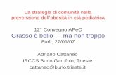 Dahlgren G and Whitehead M (1991) scaricabili/convegni... · Adriano Cattaneo IRCCS Burlo Garofolo, Trieste cattaneo@burlo.trieste.it. Dahlgren G and Whitehead M (1991) BMI=Weight