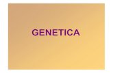 GENETICA - naturopatiagruppo2013.files.wordpress.com · GENETICA E’ la scienza che studia la trasmissione dei caratteri ... nella specie umana) deriva dal contributo aploide di