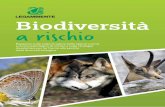 Biodiversità a rischio - legambiente.it · Introduzione di Rossella Muroni, presidente nazionale Legambiente La perdita e la frammentazione degli habitat e il cambiamento della destinazione