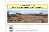 Cos’è la desertificazione? - ESDAC - European Commission · Geografia e Planeamento Regional Faculdade de Ciências Sociais e Humanas Universidade Nova de Lisboa. Desertificazione
