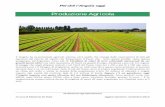 Produzione Agricola - infoMercatiEsteri - www ... · agricola alla commercializzazione / fornitura di trattori, impianti di irrigazione, silos di stoccaggio, sementi, ... utilizzato