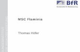 8-fira-flaminia [Mode de compatibilité] - wwz.cedre.fr · Identification des risques spécifiques à l'accident du MSC Flaminia, les "risques spécifiques" sont ceux qui ne sont
