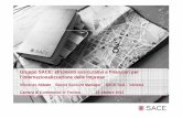 Gruppo SACE: strumenti assicurativi e finanziari per l ... · Spese per tutelare il “ Made in Italy ” (marchi, brevetti, applicazione denominazione origine controllata) ... SACE