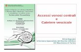 Accessi venosi centrali e Catetere vescicale - sifoweb.it · Catetere vescicale Silvia Bagnato ... Connector) delle vie di infusione. ... Infezioni urinarie catetere correlate (CAUTI)